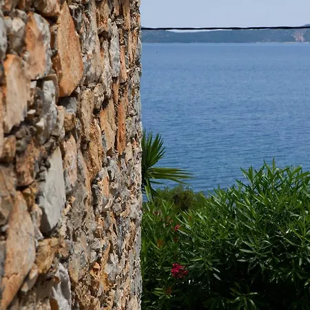 Alonissos Muses