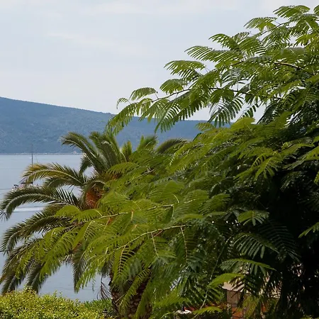 Apartment Alonissos Muses