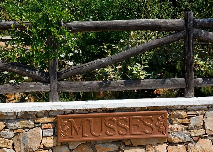 Alonissos Muses Apartman *