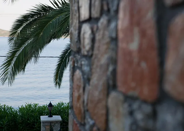 Apartman Alonissos Muses