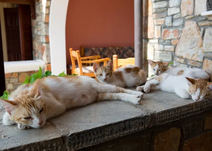 Apartman Alonissos Muses